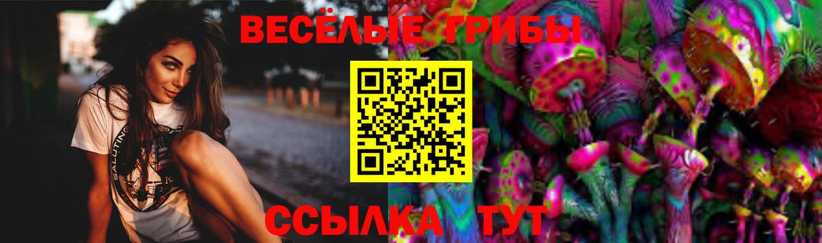 Бугуруслан  Псилоцибиновые грибы Cubensis  Вход с VPN 